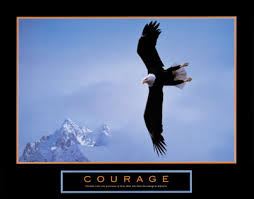 images-10.jpeg image